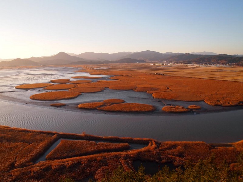 5 điểm đến mùa thu hàn quốc